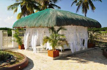 Sagastrand Beach Resort Olango Island Eksteriør billede